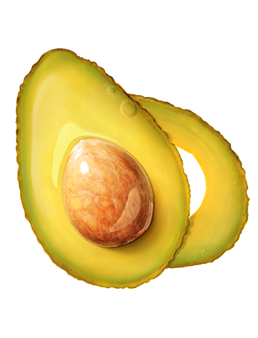 Ingredient-AVOCAT-373x488